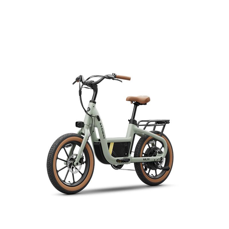 Segway Muxi
